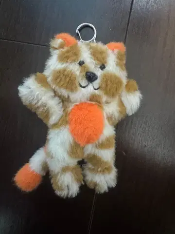 BOYNEXTDOOR 성호 캣비 키링