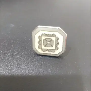 미나 페르호넨 핀 배지