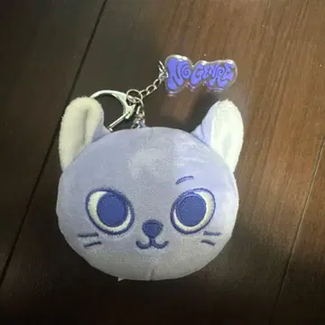 BOYNEXTDOOR 성호 face keyring 키링
