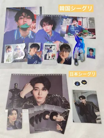 straykids 시그 2026 한