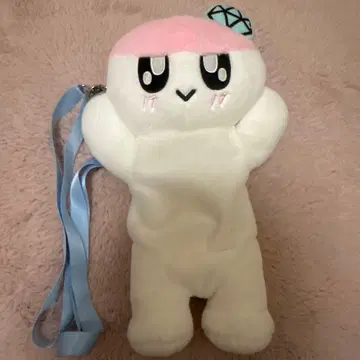 SEVENTEEN 세븐틴 세부치 봉봉이 응원봉 케이스 CARAT LAND