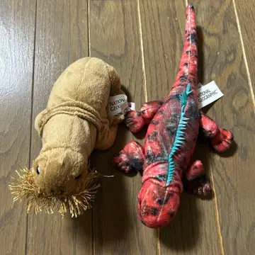 내셔널 지오그래픽 봉제 인형 세트