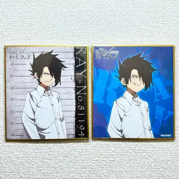 약속의 네버랜드 미니 색지 2종 세트 레이 중국 한정판