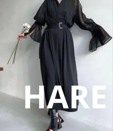 [ 포멀 드레스/결혼식 ] HARE 2WAY 소매 시어 원피스 블랙