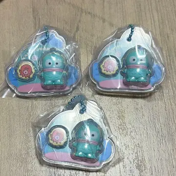 산리오 초코 보로 한교동