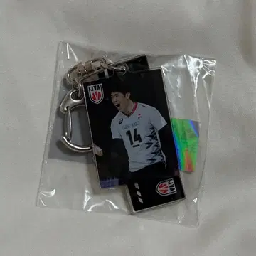 이시카와 유키 일본 대표 가챠 2연속 아크릴 키링