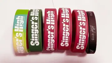 싱어즈 하이 러버밴드