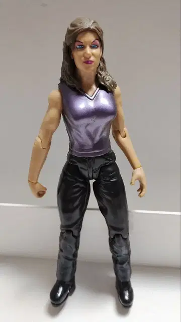 JAKKS사판 WWE 프로레슬링 피규어 스테파니 맥마흔