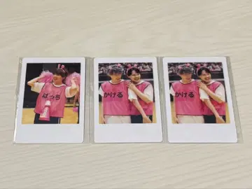 파라곤 팟치 나나로루 카케루 리리토 아사가 타테 혼합 운동회 하피카