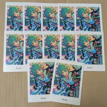 앙스타 파샤츠 호죠 라이카