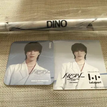 SEVENTEEN 세븐틴 NEW 태피스트리 디노 문화제 링던지기