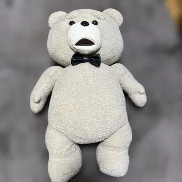 ted 봉제 인형