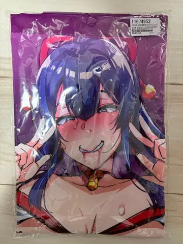 다케다 히로미츠 주우솔저 B2 태피스트리