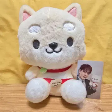 JOCHUM JO1 마메하라 잇세이 마메치이 봉제 인형