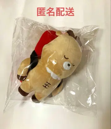 미개봉 새상품 riize 라이즈시 봉제 인형 우라밤 성찬