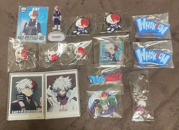 나의 히어로 아카데미아 히로아카 토도로키 쇼토 다비