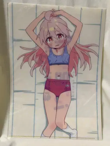 오야마 마히로 신작 일러스트 A4 클리어 파일 어릴 적부터 좋아하는 누나