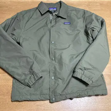 파타고니아 블루종