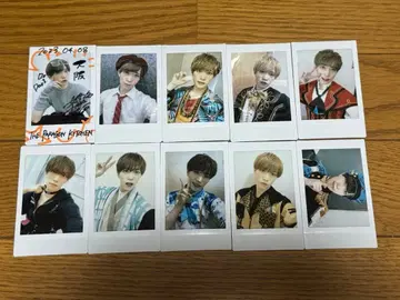 팬더드래곤 타이거 폴라로이드 하피카