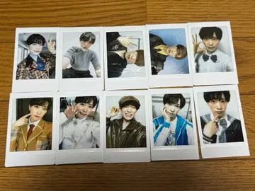 팬더드래곤 타이거 폴라로이드 하피카