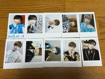 팬더드래곤 타이거 폴라로이드 하피카