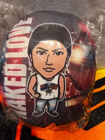 토사카 히로오미 미니 쿠션