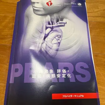 PEARS 프로바이더 매뉴얼