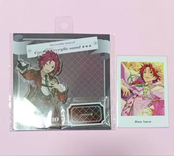 앙스타 이사라 마오 2세트