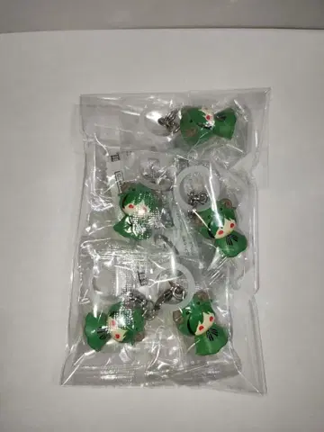 시쿠포니 메지루시 액세서리 스치 5점