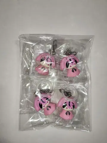 시쿠포니 메지루시 액세서리 LAN 4점