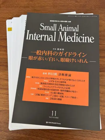 소동물 내과 11 목