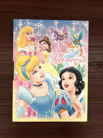 디즈니 프린세스 엽서 앨범