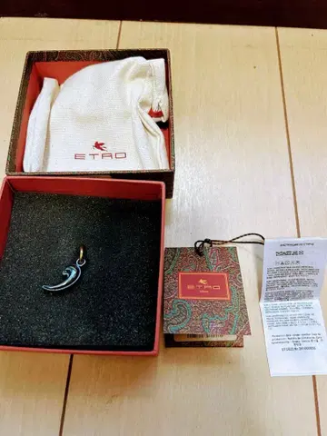 ETRO 미니 메탈릭 페이즐리 디테일 귀걸이 한쪽만