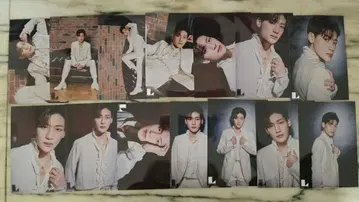 하가 슈토 생일 브로마이드 14장 세트