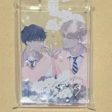 서로 맞지 않는 키스 아크릴 블록 스에히로 마치 선생님