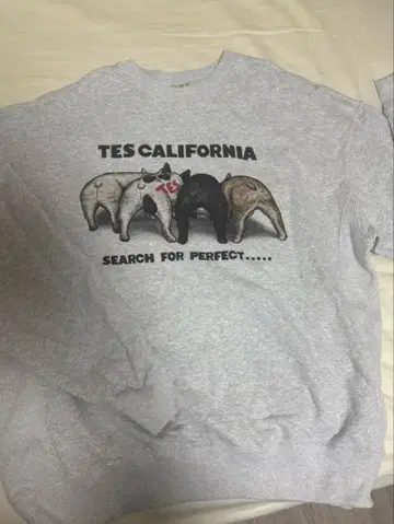 TES /4BUHI/ 맨투맨/트레이닝복/그레이/XL