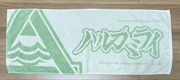 하루카미라이 타월 러버 밴드