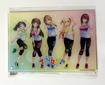 샤인포스트 미니 아크릴 아트 TINGS 레슨복 ver.