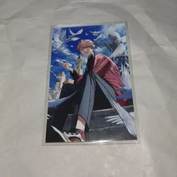 노스탤지어 컬렉션 2025 세라프