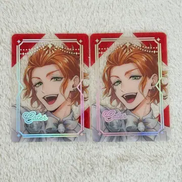 트위스테 플라티나 자켓 케이트 클리어 카드 2장