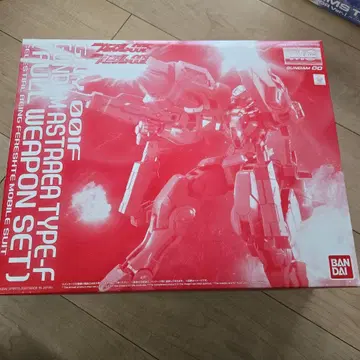 MG 1/100 건담 아스트레아 TYPE-F 풀 웨폰 세트
