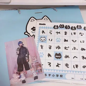 hauls 하우루즈 브로마이드 쇼핑백 가나다표 특전