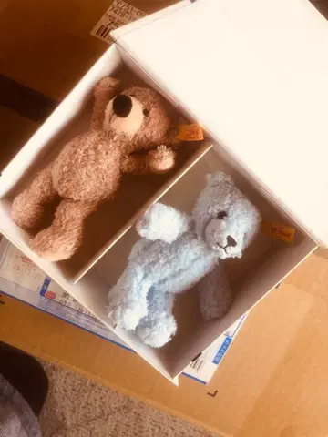 슈타이프의 테디베어