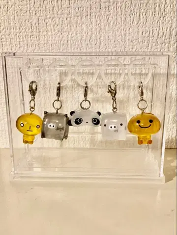 산엑스 메지루시 액세서리 케이스 포함 5개 세트