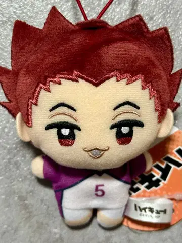 텐도 사토리 누이프리케 mini 하이큐