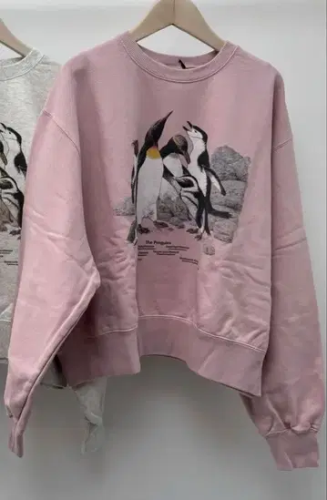 Oblada 2026SS 신상 PENGUINES SWEAT