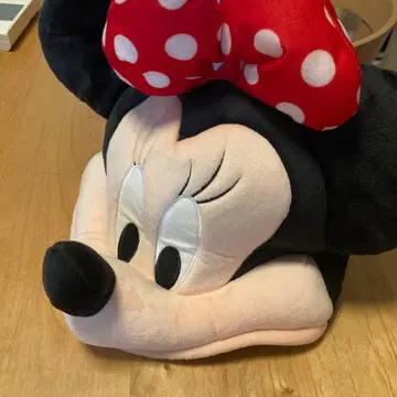 디즈니 팬캡 미니