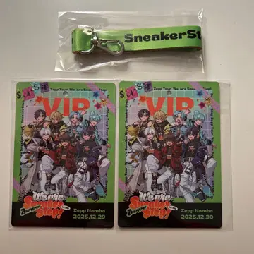 스니스트 VIP 패스