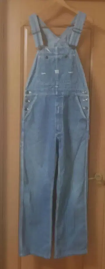 WORLD WORKERS w32 BIG JOHN 오버롤