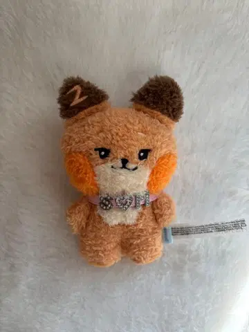 ZEROBASEONE 메튜 튜니니